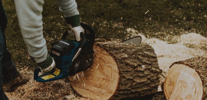 Quels petits travaux au jardin réaliser avec une tronçonneuse ?