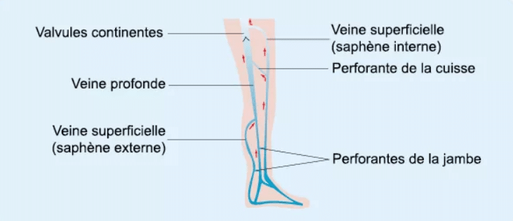 risque thromboemlique ameli