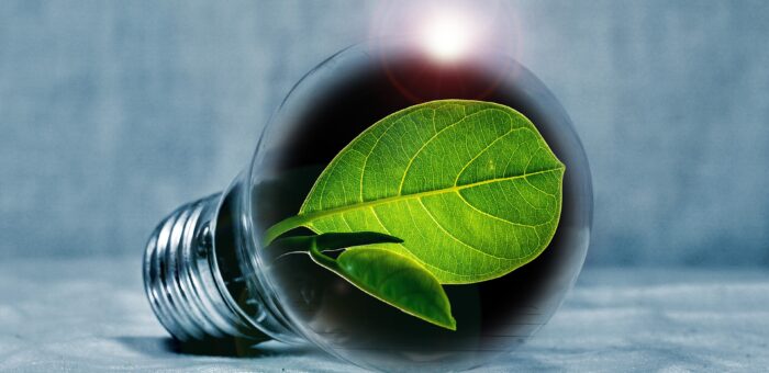 L’énergie verte vaut-elle l’énergie classique ?